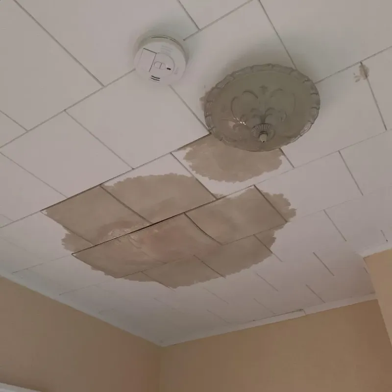 Ceiling Water Damage Repair in Fredonia, KS