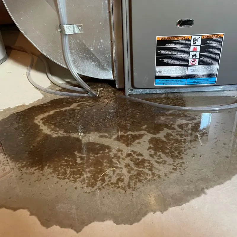 Pipe Burst and Leak Restoration in Fredonia, KS