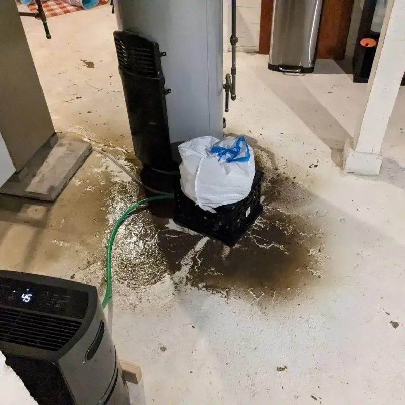 Sewage Backup Cleanup Service in Fredonia, KS